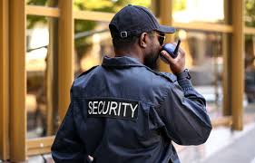 Security Services at Krisari