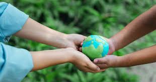 Environmental Stewardship at Krisari